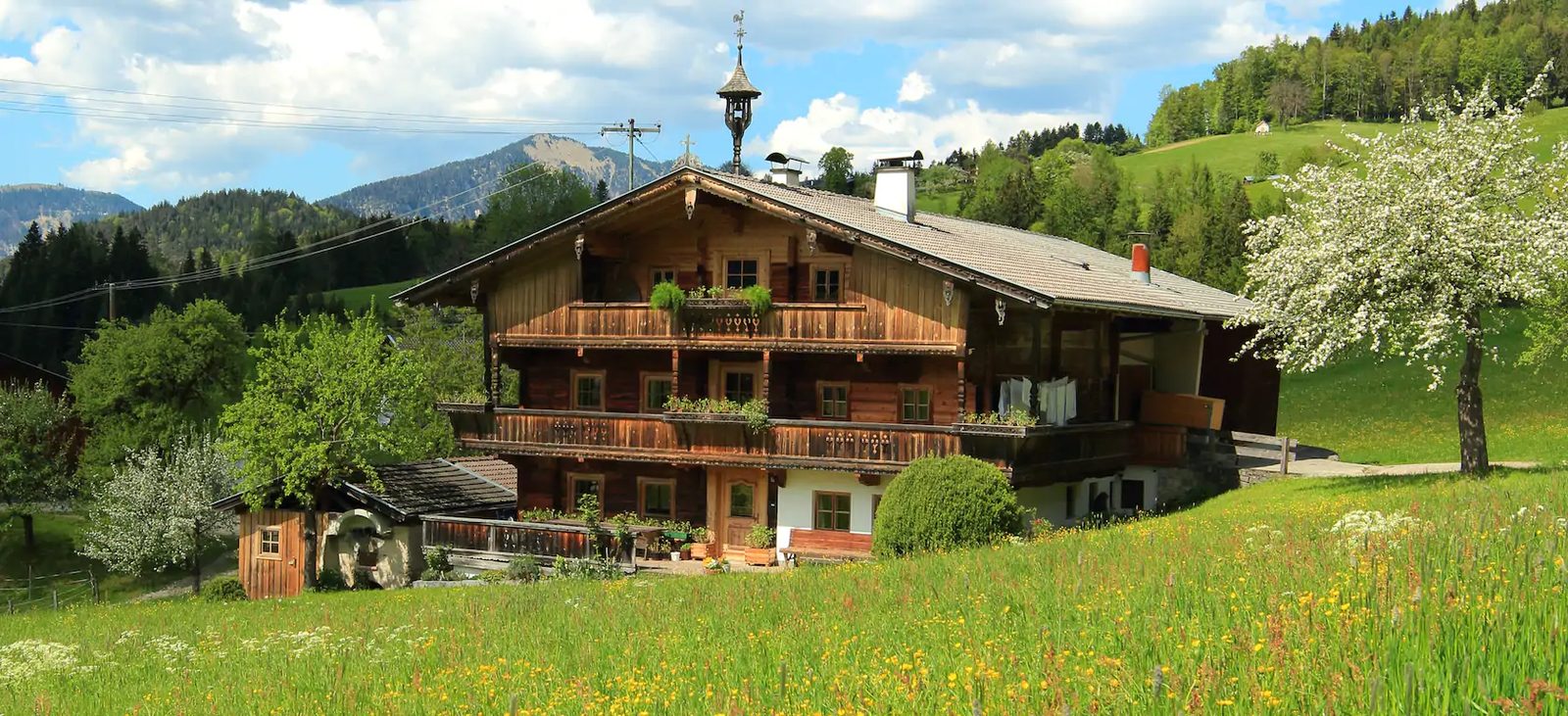Das Bauernhaus im Frühling mit blühendem Obstbaum