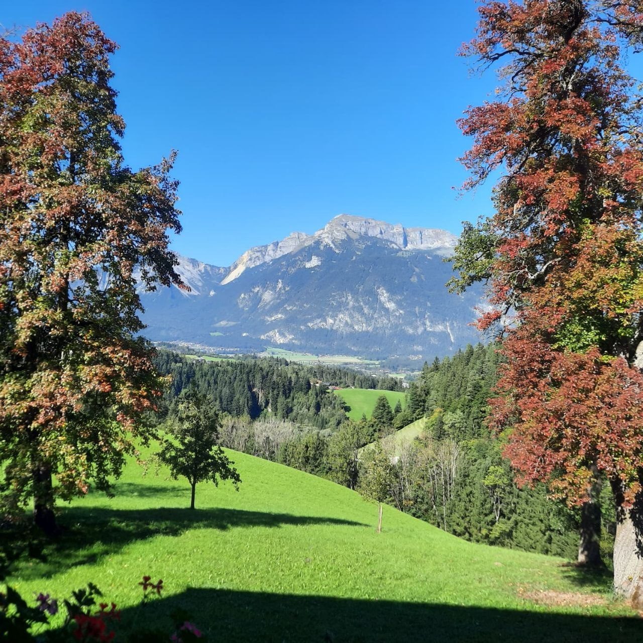 Blick vom Hof über die Wiese ins Inntal und auf die Berge, links und rechts Bäume