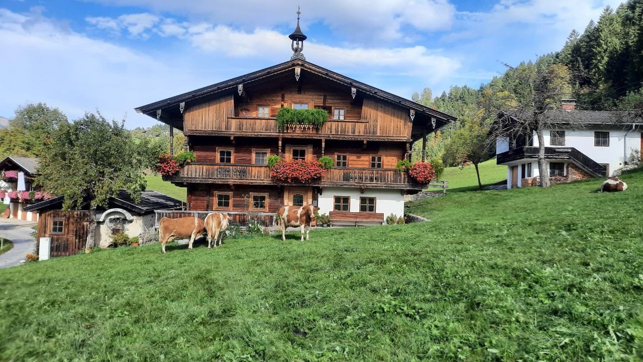 Das Bauernhaus mit Blumenbalkonen, davor Kühe auf der Wiese