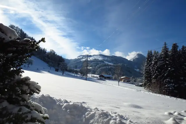 Verschneite Landschaft am Hof unter blauem Himmel