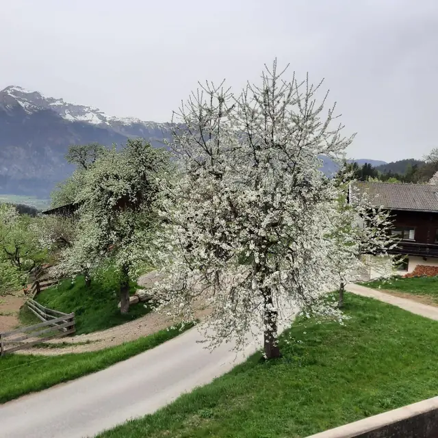Der Köckenhof und die Landschaft am Hof im Lauf des Jahres