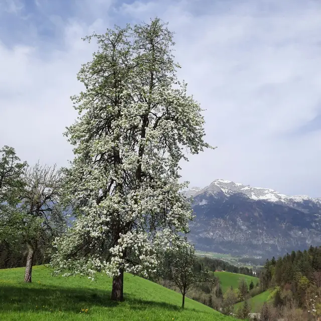 Der Köckenhof und die Landschaft am Hof im Lauf des Jahres