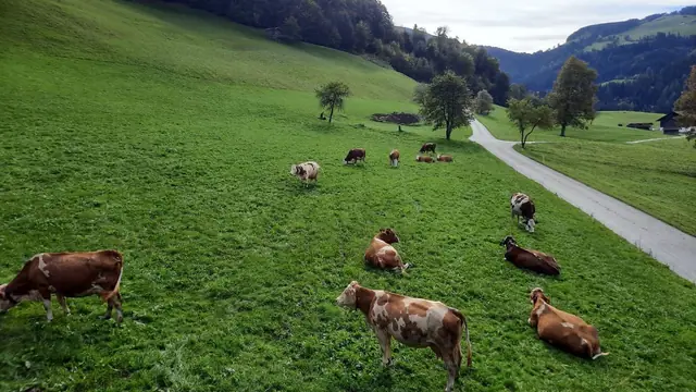 Der Köckenhof und die Landschaft am Hof im Lauf des Jahres
