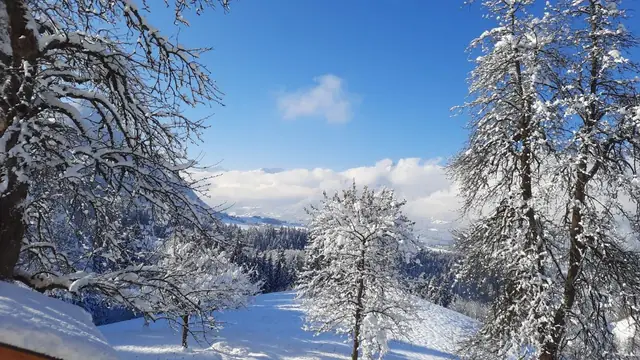 Der Köckenhof und die Landschaft am Hof im Lauf des Jahres