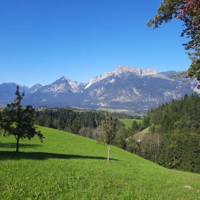 Der Köckenhof und die Landschaft am Hof im Lauf des Jahres