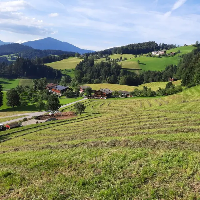 Der Köckenhof und die Landschaft am Hof im Lauf des Jahres