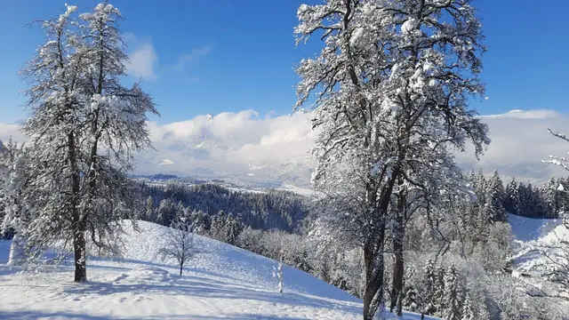 Der Köckenhof und die Landschaft am Hof im Lauf des Jahres