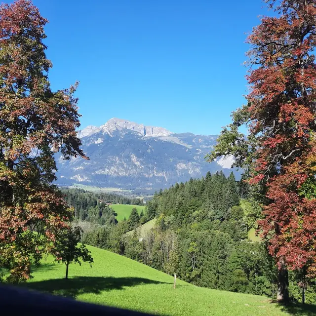 Der Köckenhof und die Landschaft am Hof im Lauf des Jahres