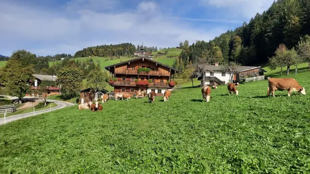 Der Köckenhof und die Landschaft am Hof im Lauf des Jahres