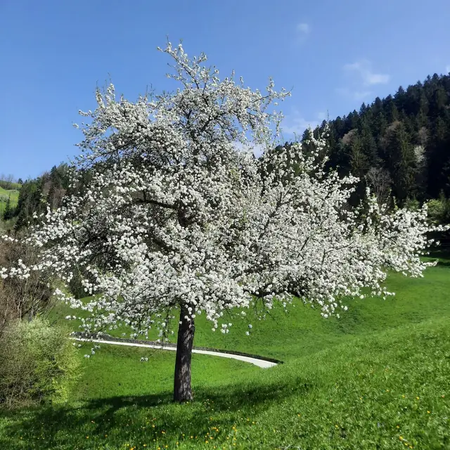 Der Köckenhof und die Landschaft am Hof im Lauf des Jahres