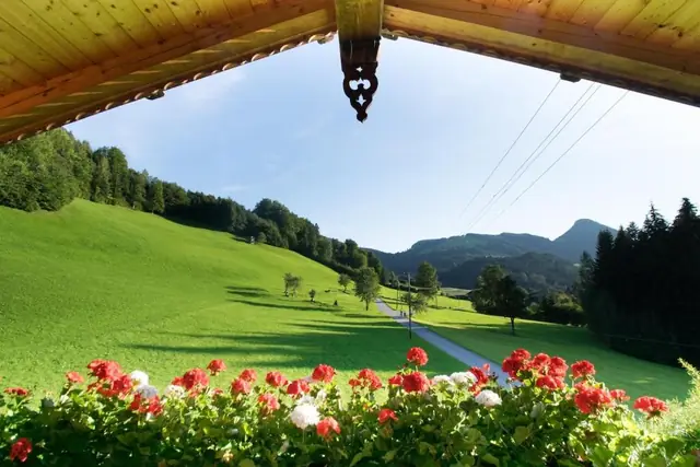Blick vom Balkon über Blumenkästen auf Wiesen und Berge