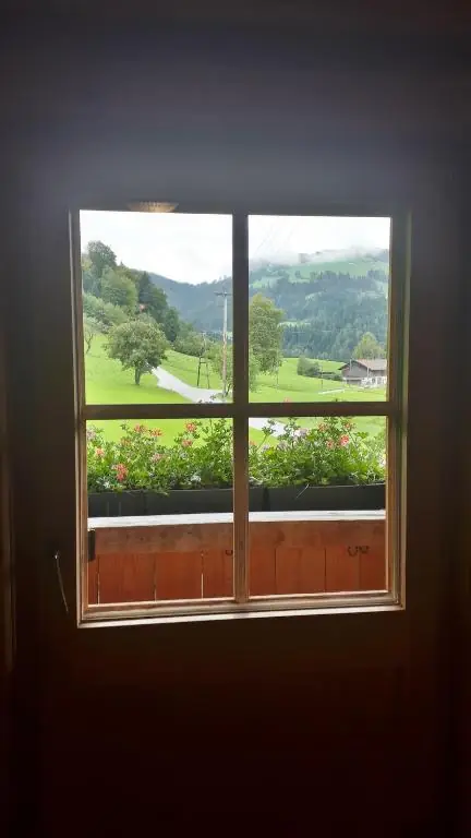 Fenster mit Blumenkasten und Blick ins Grüne